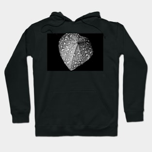 Raindrops on Leaf Hoodie